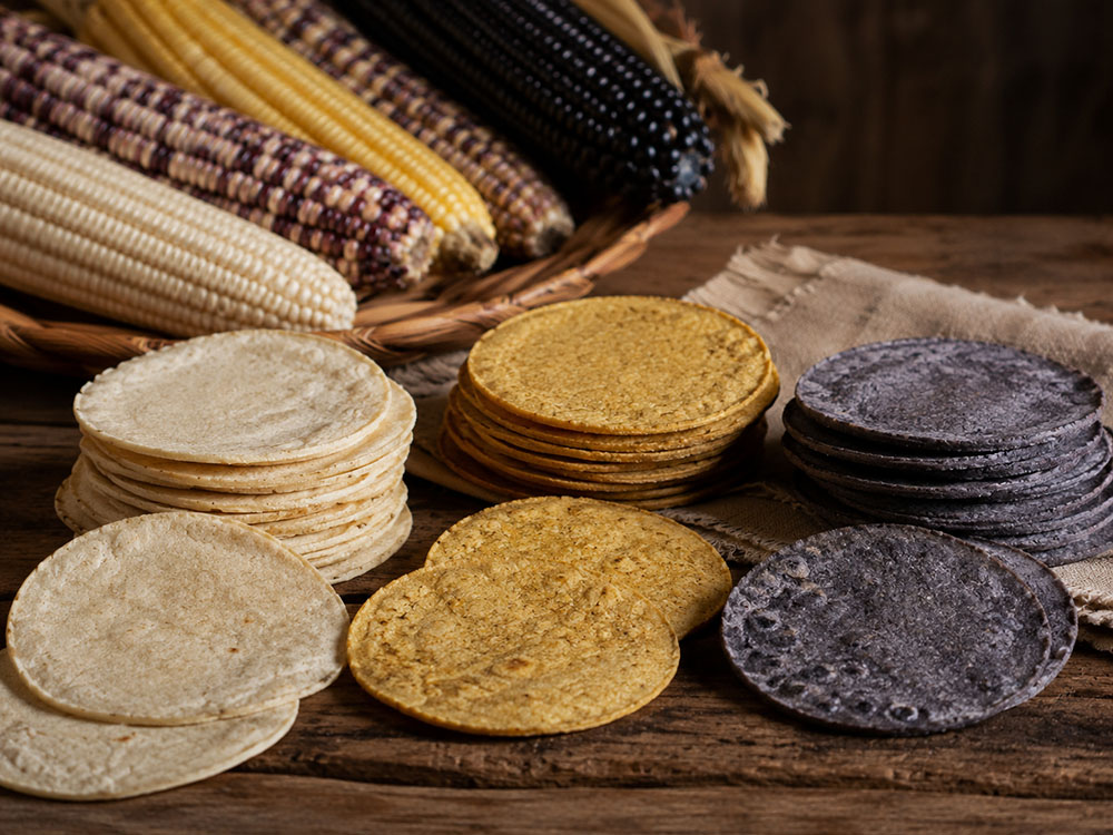 Tortillas bianche gialle e blu viola con differenti varietà di mais messicano