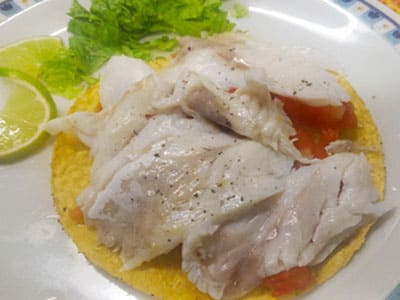 Ceviche di pesce fresco con lime e pico de gallo - Cucina messicana Carrara